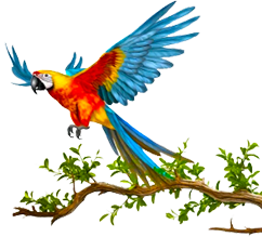 Friendly water park equipment supplier USA